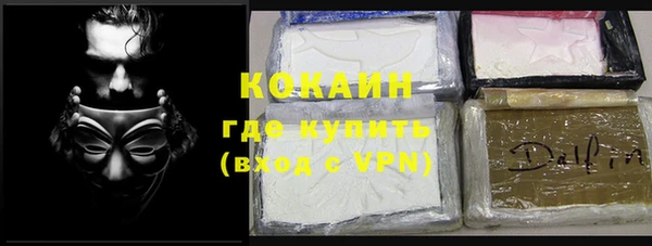 индика Белоозёрский