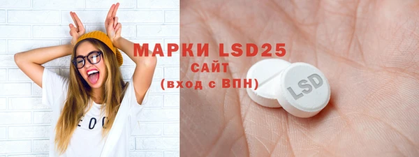 ПСИЛОЦИБИНОВЫЕ ГРИБЫ Сосновка