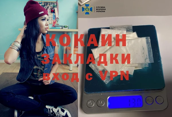 индика Белоозёрский