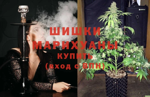 индика Белоозёрский