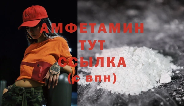 гашик Сосновый Бор